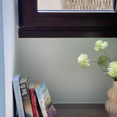 公寓 Spacious Luxury Apt, Old Town