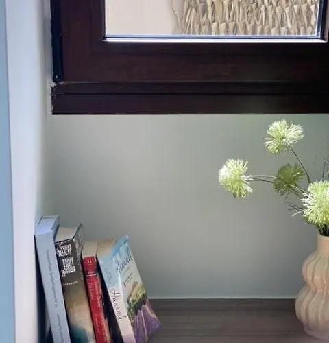 アパート Spacious Luxury Apt, Old Town